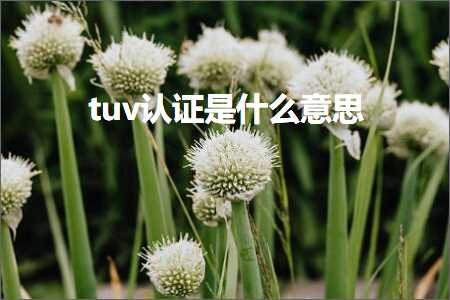 跨境电商知识:tuv认证是什么意思