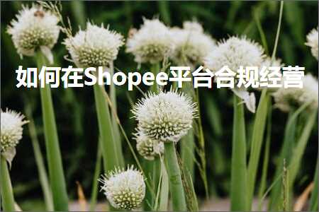 璺ㄥ鐢靛晢鐭ヨ瘑:濡備綍鍦⊿hopee骞冲彴鍚堣缁忚惀